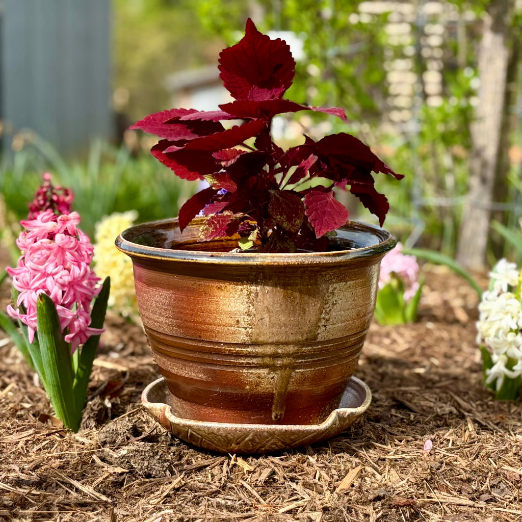 Artisan ceramic planter with amber and bronze glaze, hand-thrown in North Carolina with drainage tray with flowers.  