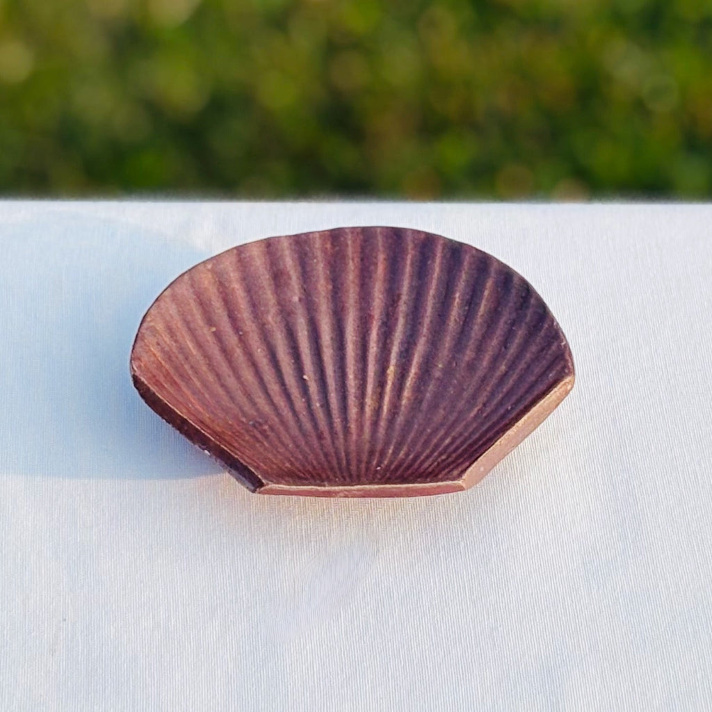 Shell-shaped wood-fired ceramic soap dish with an earthy brown finish and natural ridged texture pattern.