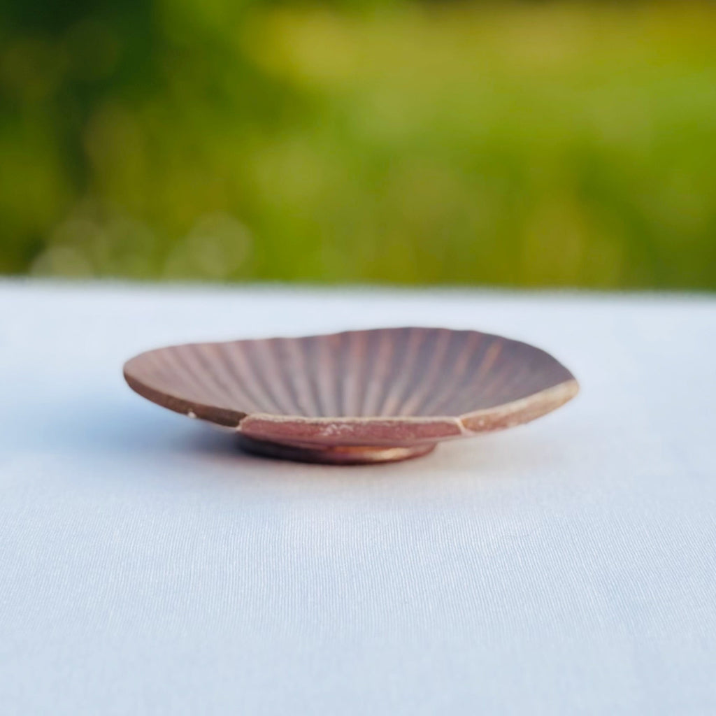 Side angle of handcrafted ceramic shell soap dish displaying drainage functionality and artisan craftsmanship